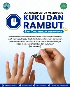 Pahami hukum larangan memotong kuku dan rambut bagi yang hendak berkurban menjelang Idul Adha. Simak penjelasan lengkapnya..